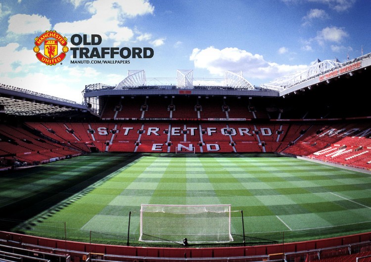 系统化的青 系统化的青