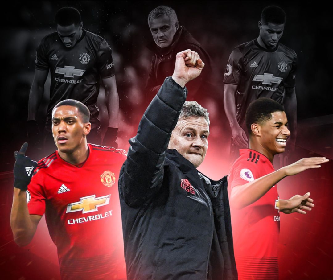 文章不仅提 文章不仅提